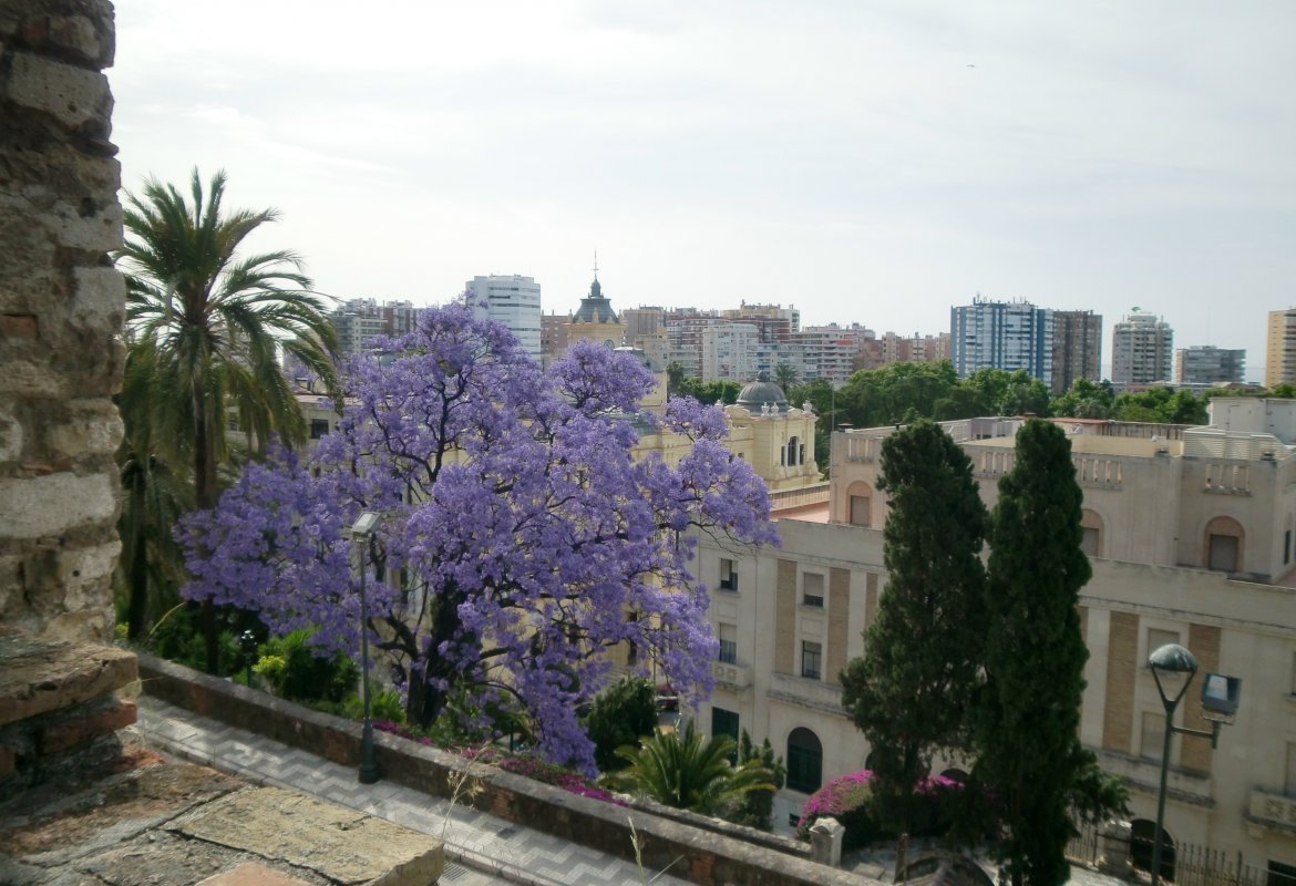 Visita a la Alcazaba de Málaga de los alumnos/as de Sexto